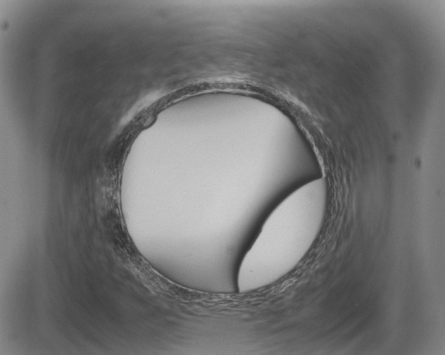 X0000082701255200701260921