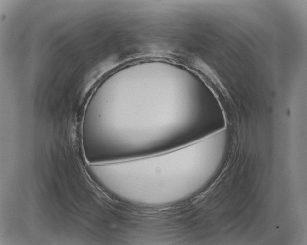 X0000082701260200701260921