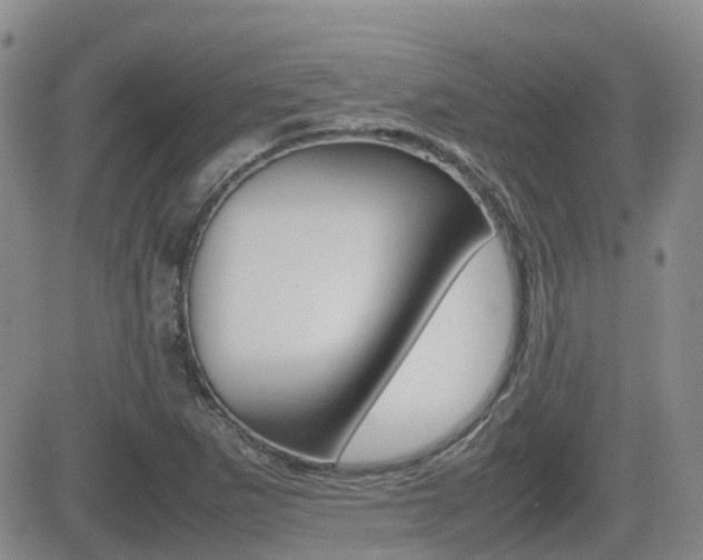 X0000082701265200701260921