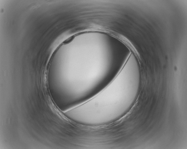 X0000082701292200701260920