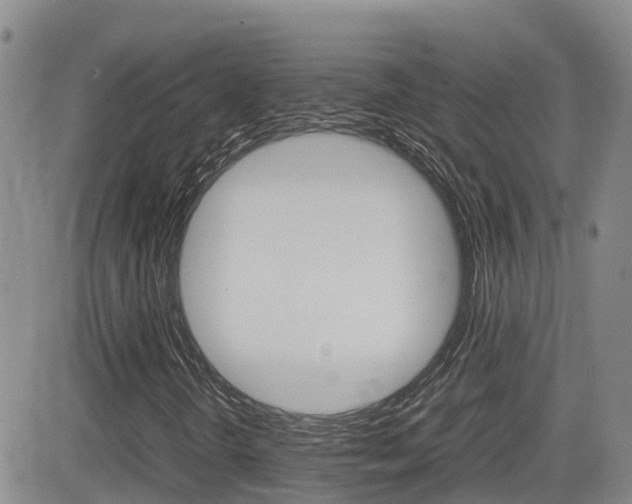 X0000082701298200701260919