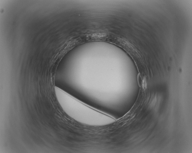 X0000082701299200701260919