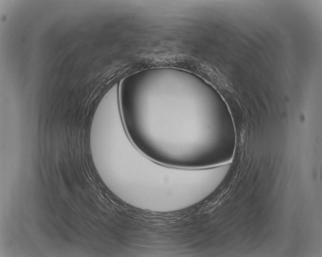 X0000082701300200701260919