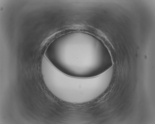 X0000082701304200701260920