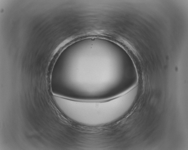 X0000082701308200701260920