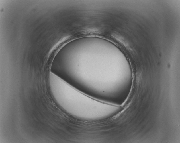 X0000082701309200701260920