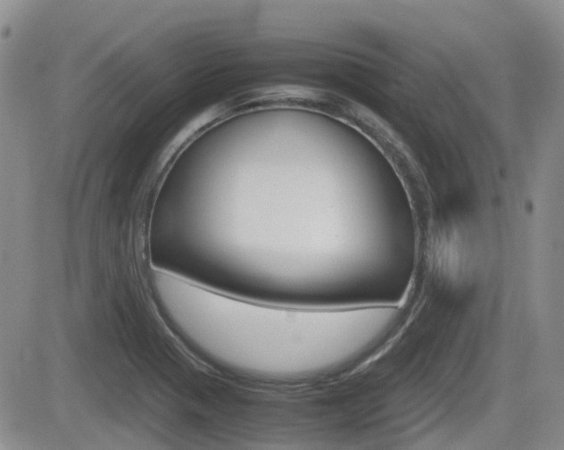 X0000082701321200701260920