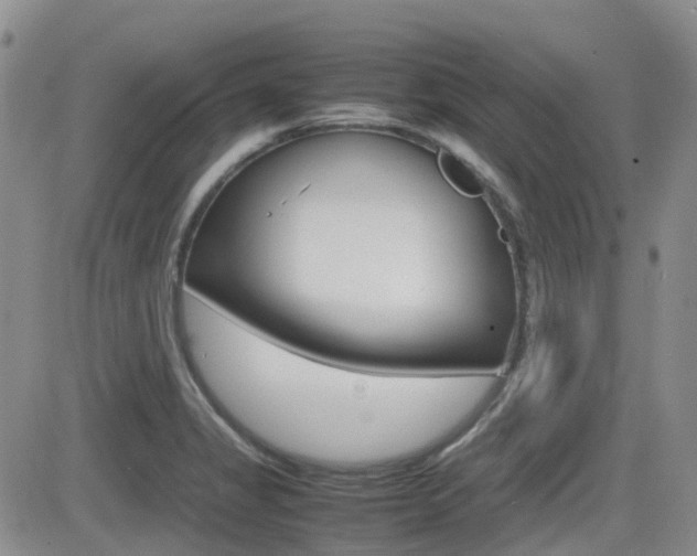 X0000082701325200701260920