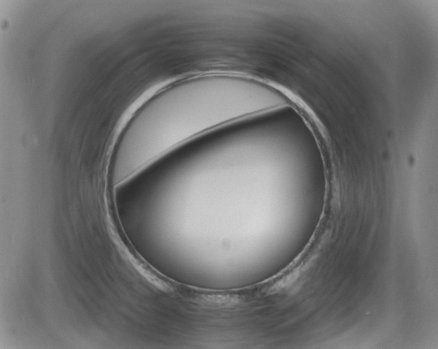 X0000082701333200701260920