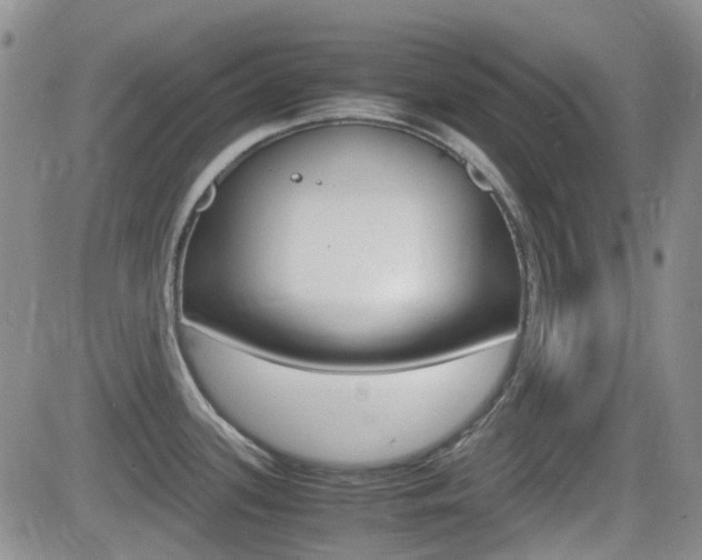 X0000082701339200701260920