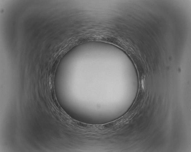 X0000082701347200701260919