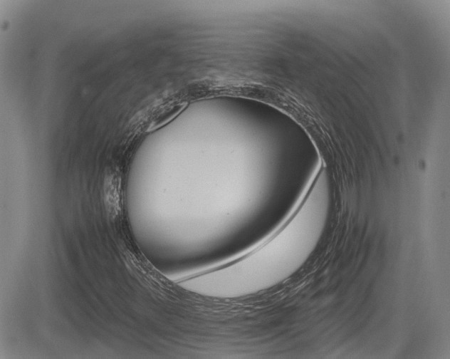 X0000082701348200701260919