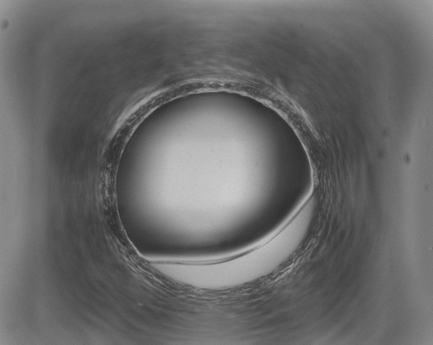 X0000082701352200701260919