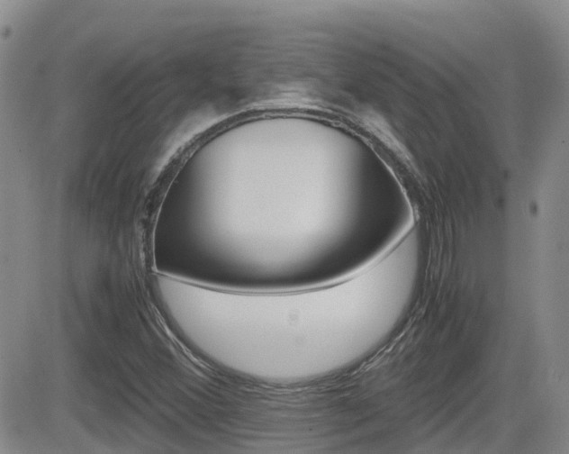 X0000082701356200701260919
