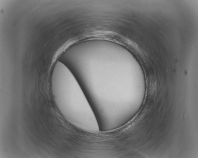 X0000082701362200701260919