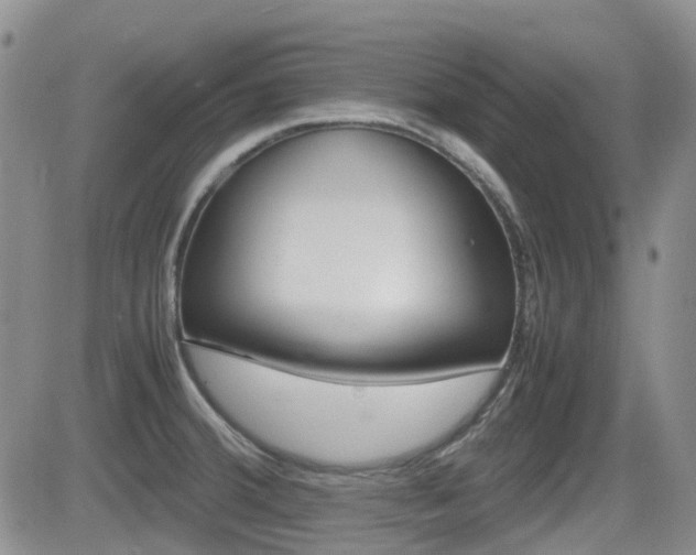 X0000082701380200701260919
