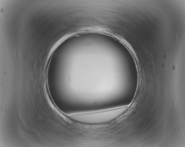 X0000082701389200701260919