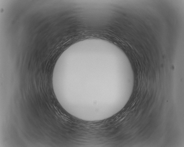 X0000082701394200701260918