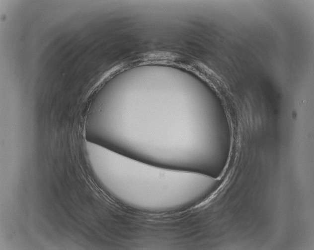 X0000082701401200701260918