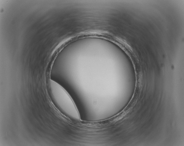 X0000082701404200701260918