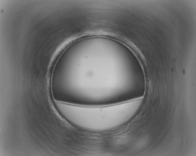 X0000082701416200701260918