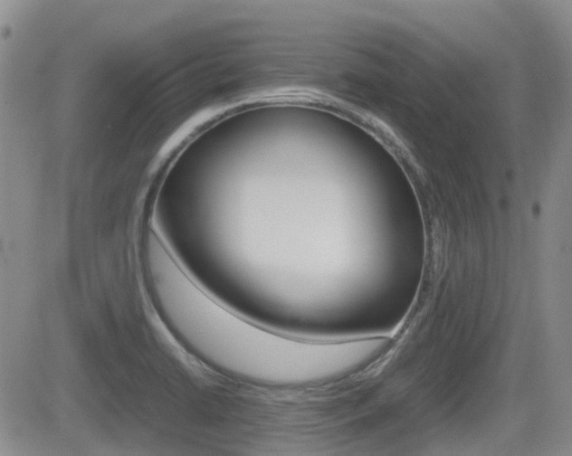 X0000082701422200701260918