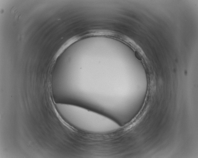 X0000082701425200701260918