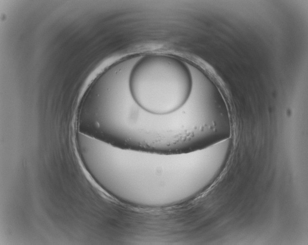 X0000082701432200701260918