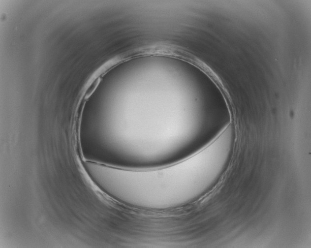 X0000082701434200701260919