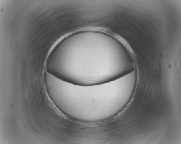 X0000082701436200701260919