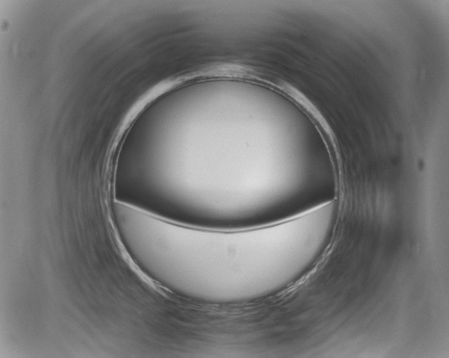 X0000082701437200701260919