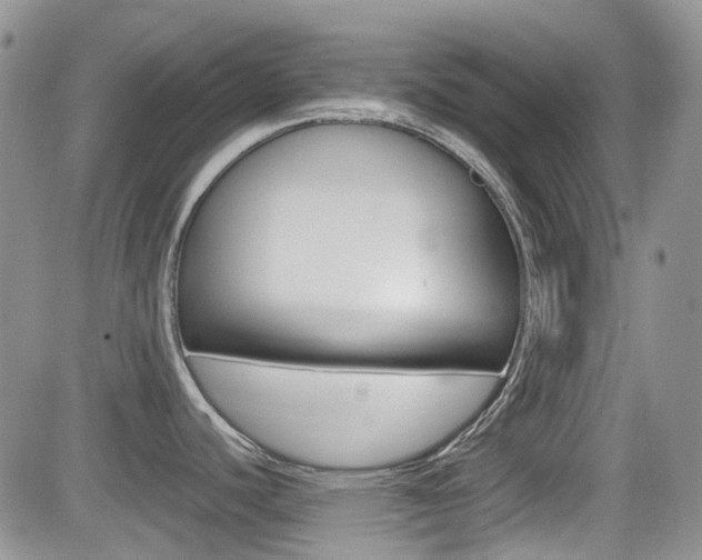 X0000082701440200701260919