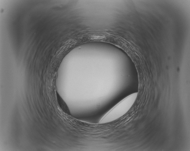 X0000082701441200701260918