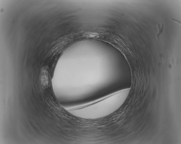 X0000082701442200701260918