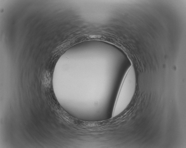 X0000082701443200701260918