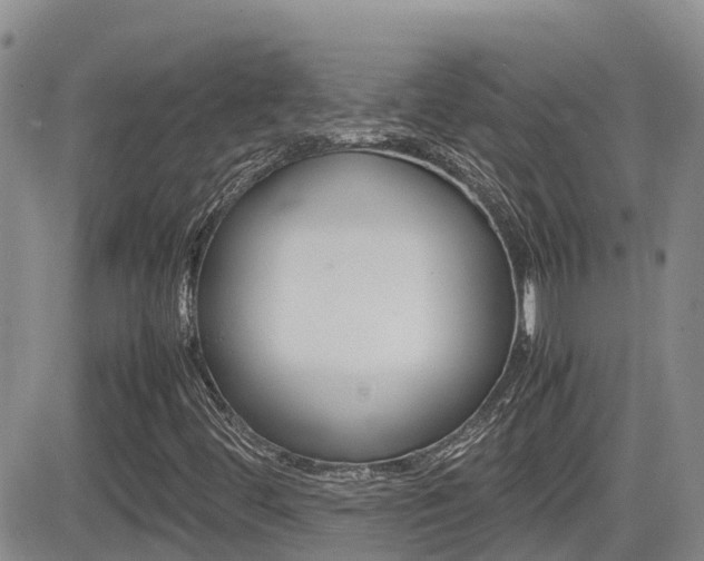 X0000082701444200701260918