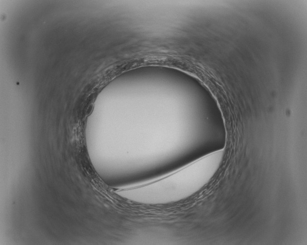 X0000082701445200701260918