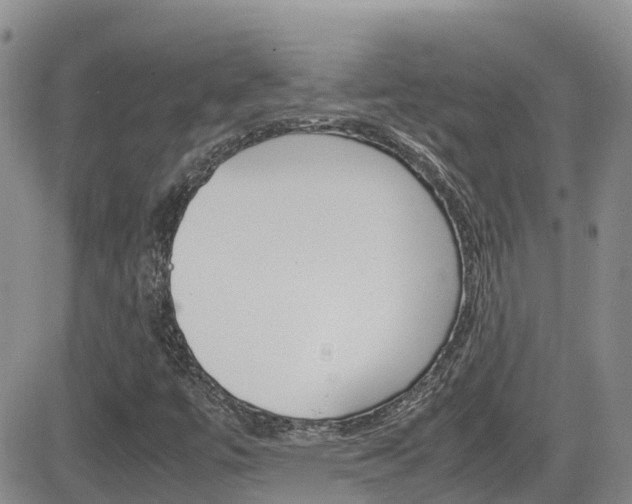 X0000082701447200701260918