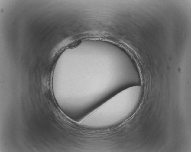 X0000082701451200701260918
