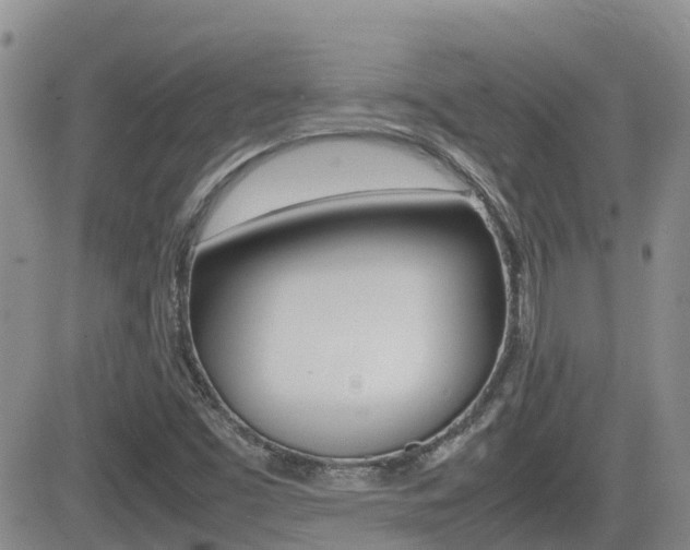 X0000082701453200701260918