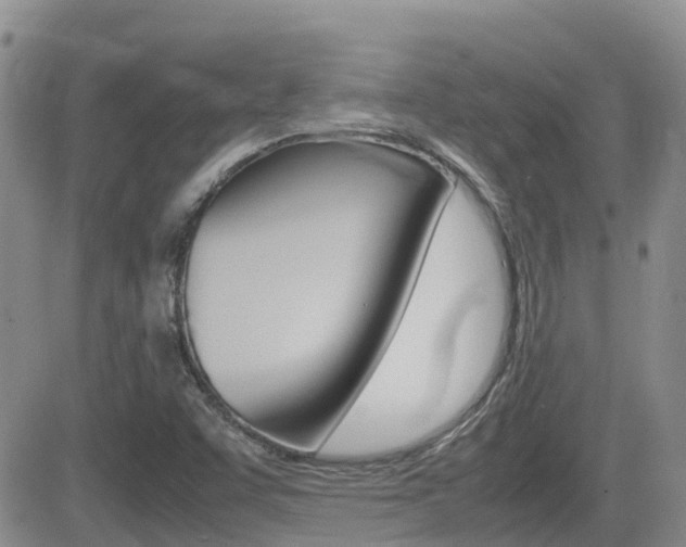 X0000082701455200701260918