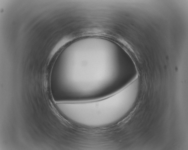 X0000082701458200701260918