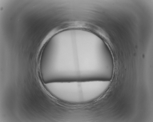 X0000082701467200701260917