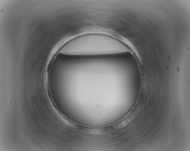 X0000082701472200701260917