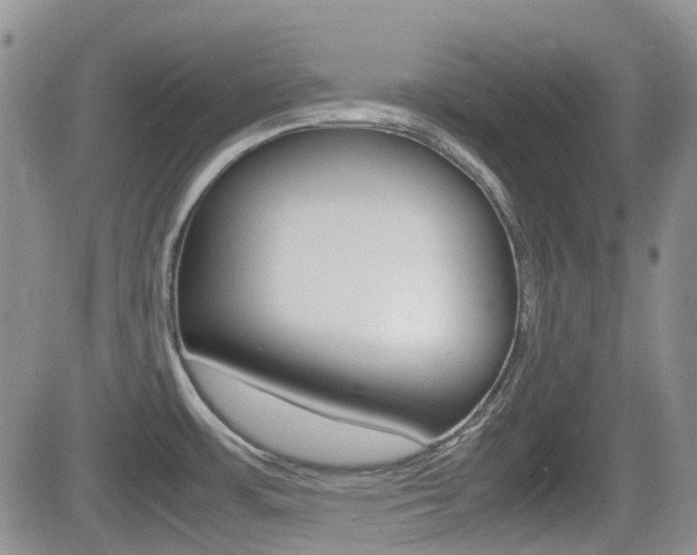 X0000082701483200701260917
