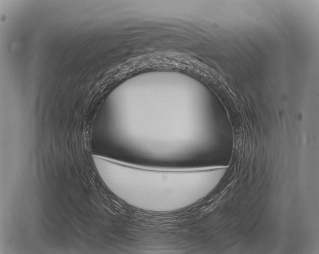 X0000082701490200701260916