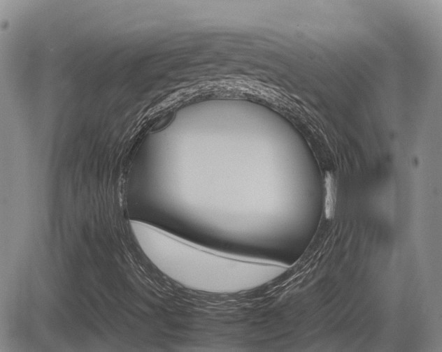 X0000082701491200701260916