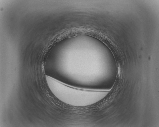 X0000082701492200701260916