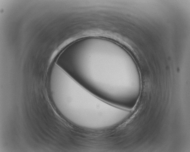 X0000082701509200701260917