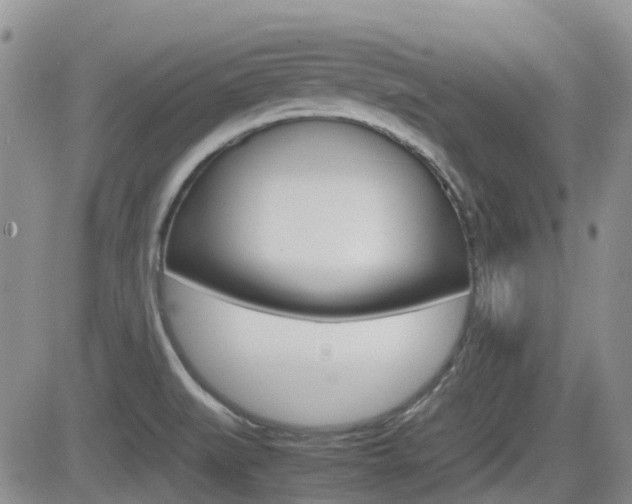 X0000082701519200701260917